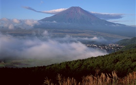 富士山，日本，鎮，林，草，霧，雲 高清桌布