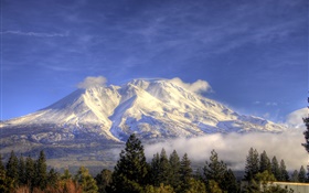 山，雪，樹，雲，沙斯塔，加利福尼亞，美國 高清桌布