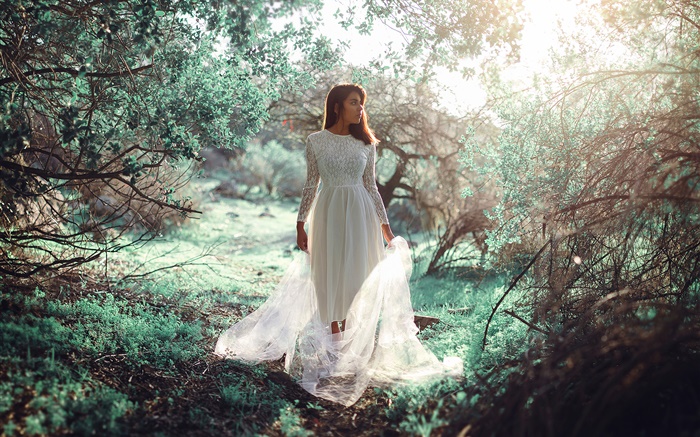 白色連衣裙的女孩在森林，陽光，眩光 桌布 圖片