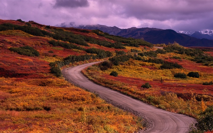 秋季，山，路，草，雲 桌布 圖片