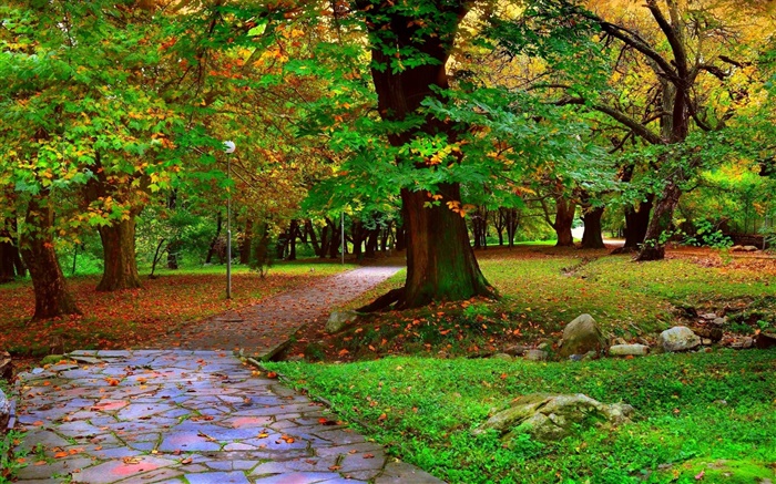 秋天的公園，樹木，人行道，葉 桌布 圖片