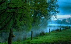 早上自然風光，草甸，草，河流，霧 高清桌布