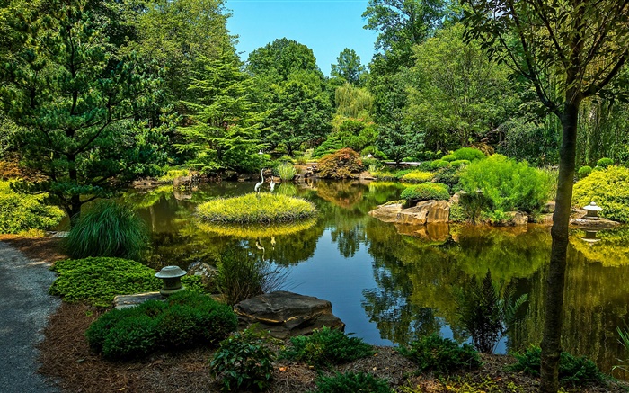 吉布斯花園，美國，池塘，樹木，草 桌布 圖片