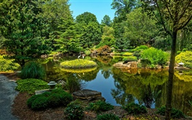 吉布斯花園，美國，池塘，樹木，草 高清桌布