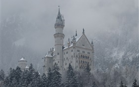 新天鵝堡，城堡，山，樹，雪 高清桌布