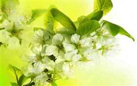 白色蘋果花，開花，枝杈，春天