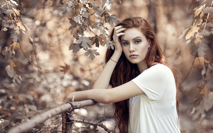 棕色的頭髮的女孩在秋天，樹，籬笆 桌布 圖片