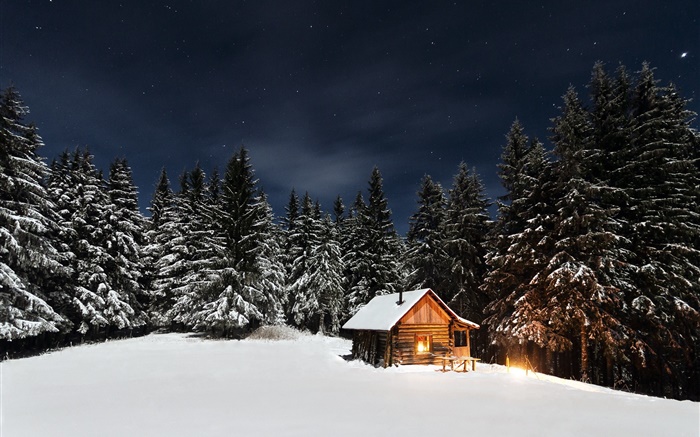 冬天，雪，樹，夜，小屋 桌布 圖片