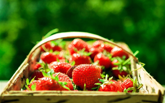 新鮮的草莓，籃子，綠色背景 桌布 圖片