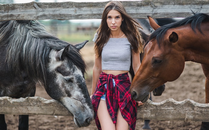 女孩和兩匹馬 桌布 圖片