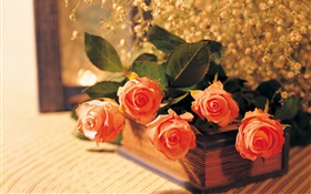 橙色玫瑰和書 高清桌布