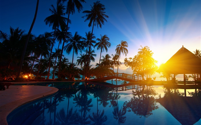 棕櫚樹，房子，日出，太陽光芒，海水，泰國 桌布 圖片