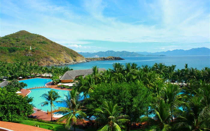 棕櫚樹，游泳池，房子，山，島，海，泰國 桌布 圖片
