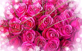 桃紅色玫瑰，花束，眩光 高清桌布