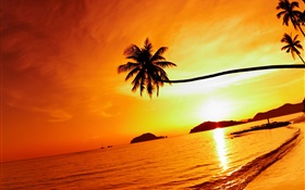 熱帶海灘日落，棕櫚樹，泰國 高清桌布