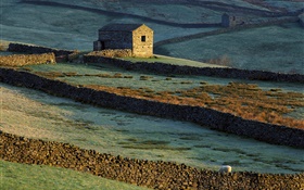 石頭房子，籬笆，草，羊 高清桌布