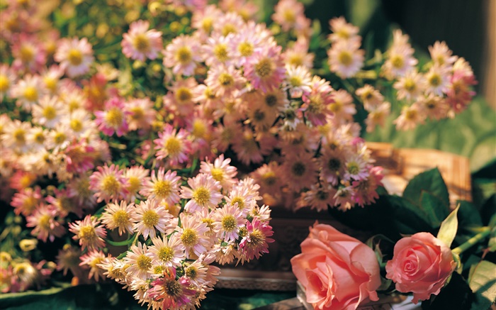 粉紅色的花朵，玫瑰和洋甘菊 桌布 圖片
