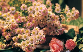 粉紅色的花朵，玫瑰和洋甘菊 高清桌布