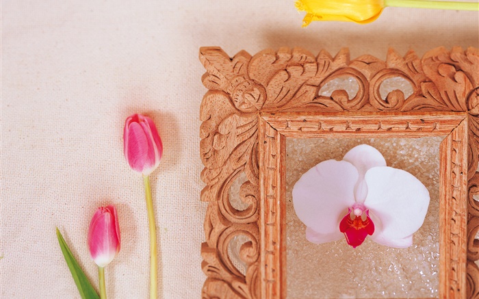 粉紅色鬱金香和白色蝴蝶蘭 桌布 圖片