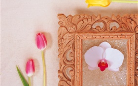 粉紅色鬱金香和白色蝴蝶蘭 高清桌布