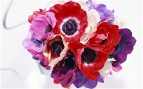 不同顏色的花朵，白色，粉紅色，紫色，紅色 高清桌布
