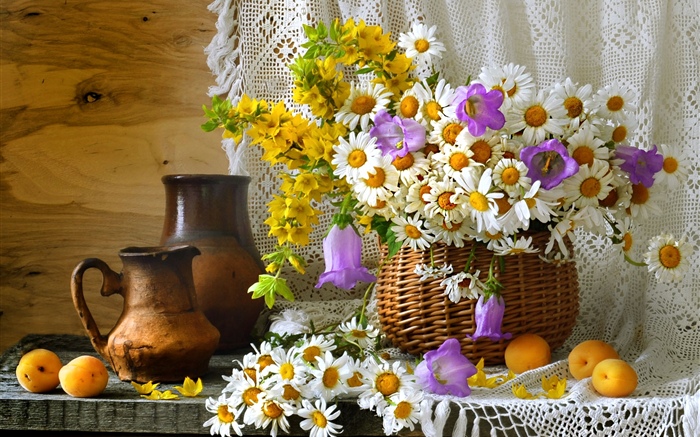 房間裝飾，野花，洋甘菊，杏子 桌布 圖片