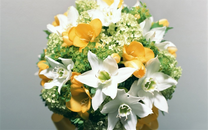 白色水仙花，花束 桌布 圖片