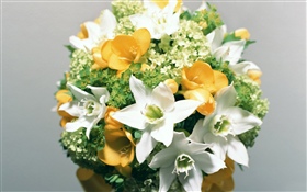 白色水仙花，花束