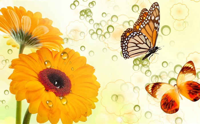 黃花和蝴蝶，創意設計 桌布 圖片