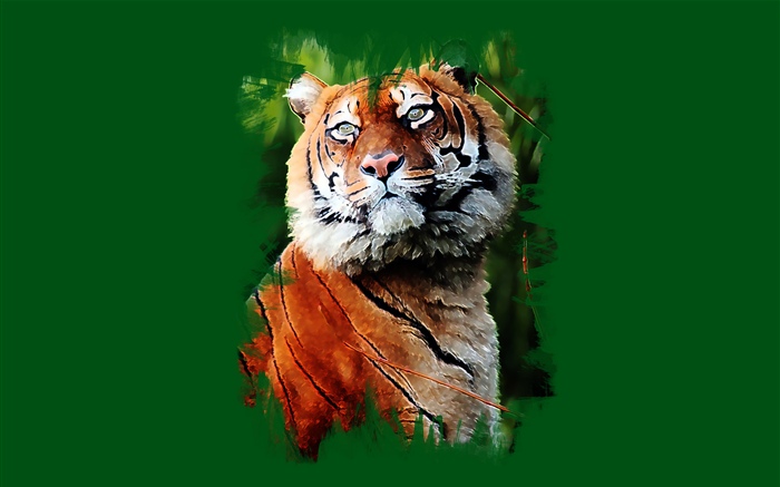 藝術繪畫，老虎，綠色背景 桌布 圖片