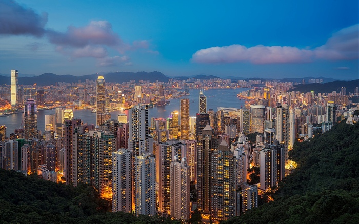 香港，夜晚，摩天大樓，燈光 桌布 圖片