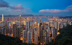 香港，夜晚，摩天大樓，燈光 高清桌布