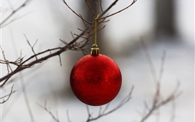 紅色聖誕球，樹枝 高清桌布