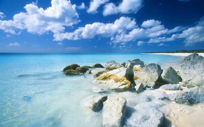 巴哈馬群島，海灘，大海，石頭 桌布 圖片