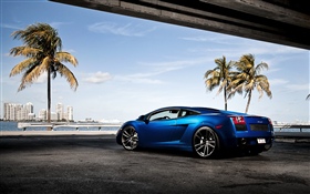 藍色蘭博基尼超級跑車, 棕櫚樹 高清桌布