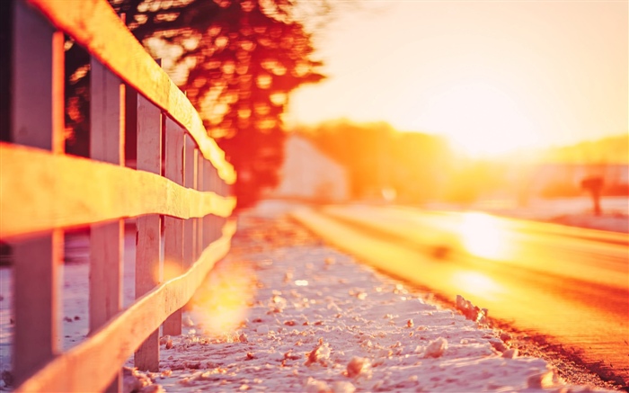 籬笆，日落，眩光 桌布 圖片