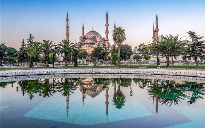 伊斯坦布爾，土耳其，清真寺，樹木，水 桌布 圖片