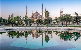 伊斯坦布爾，土耳其，清真寺，樹木，水 高清桌布