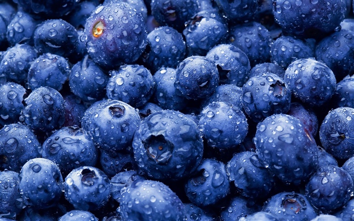 許多藍莓, 水滴 桌布 圖片