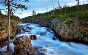 河，樹木，岩石，自然 高清桌布