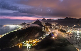 巴西，夜，景色，城市，燈光 高清桌布