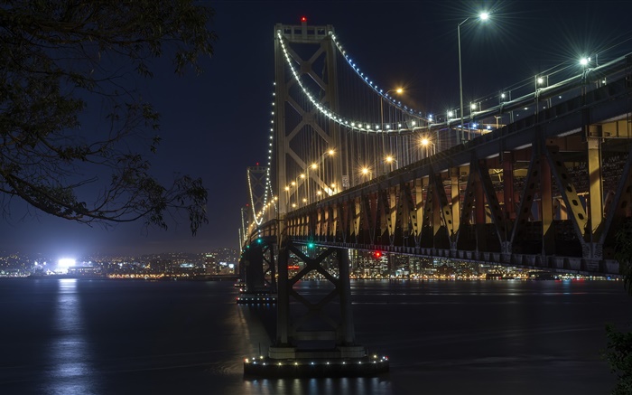 加利福尼亞，舊金山，橋樑，燈，河流，夜晚 桌布 圖片