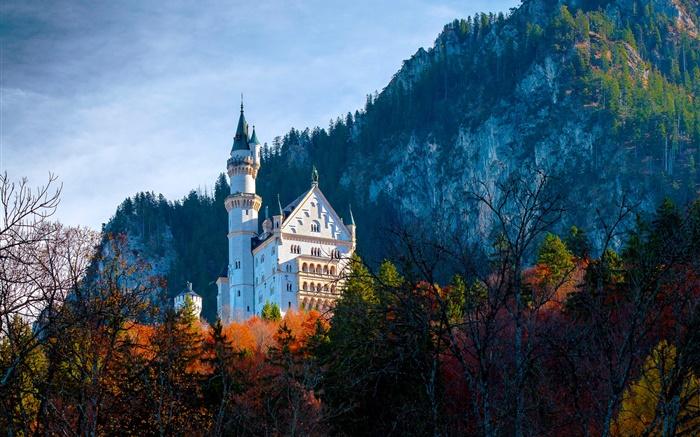 德國，巴伐利亞，納斯萬斯坦城堡，秋天 桌布 圖片