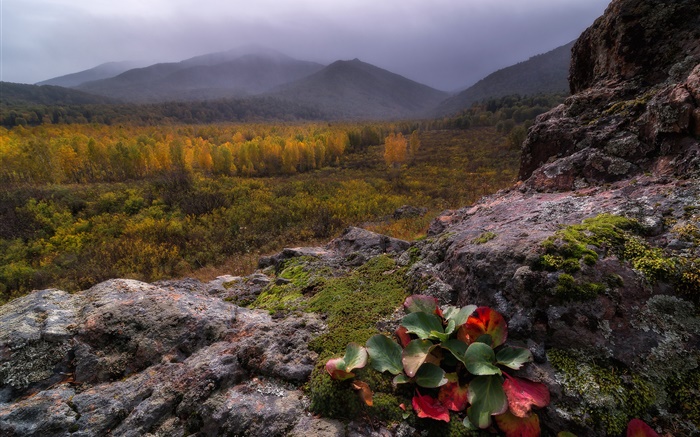 山，霧，石頭，森林，秋天 桌布 圖片