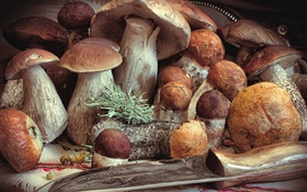 一些蘑菇，食物 高清桌布