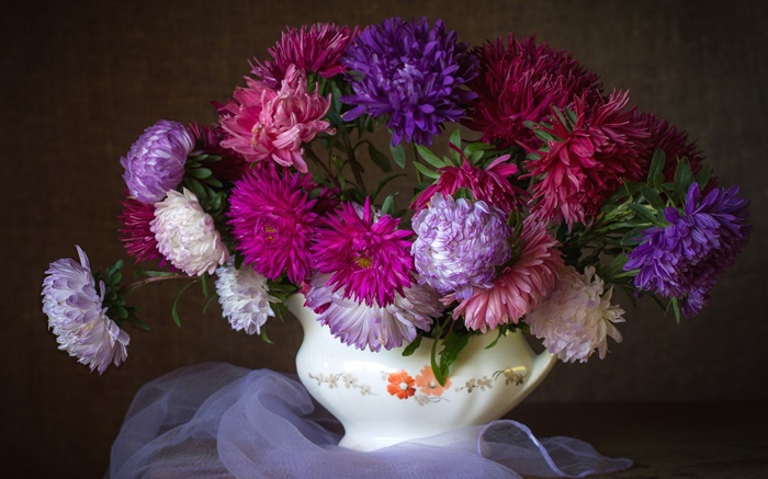 紫苑花，紫色，粉紅色，紅色，花束 桌布 圖片