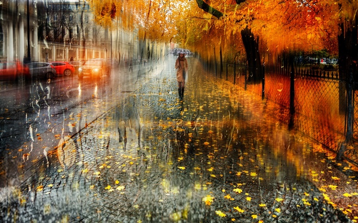 秋天，城市，雨，樹，女孩，路，汽車 桌布 圖片