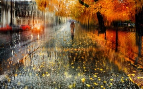 秋天，城市，雨，樹，女孩，路，汽車 高清桌布